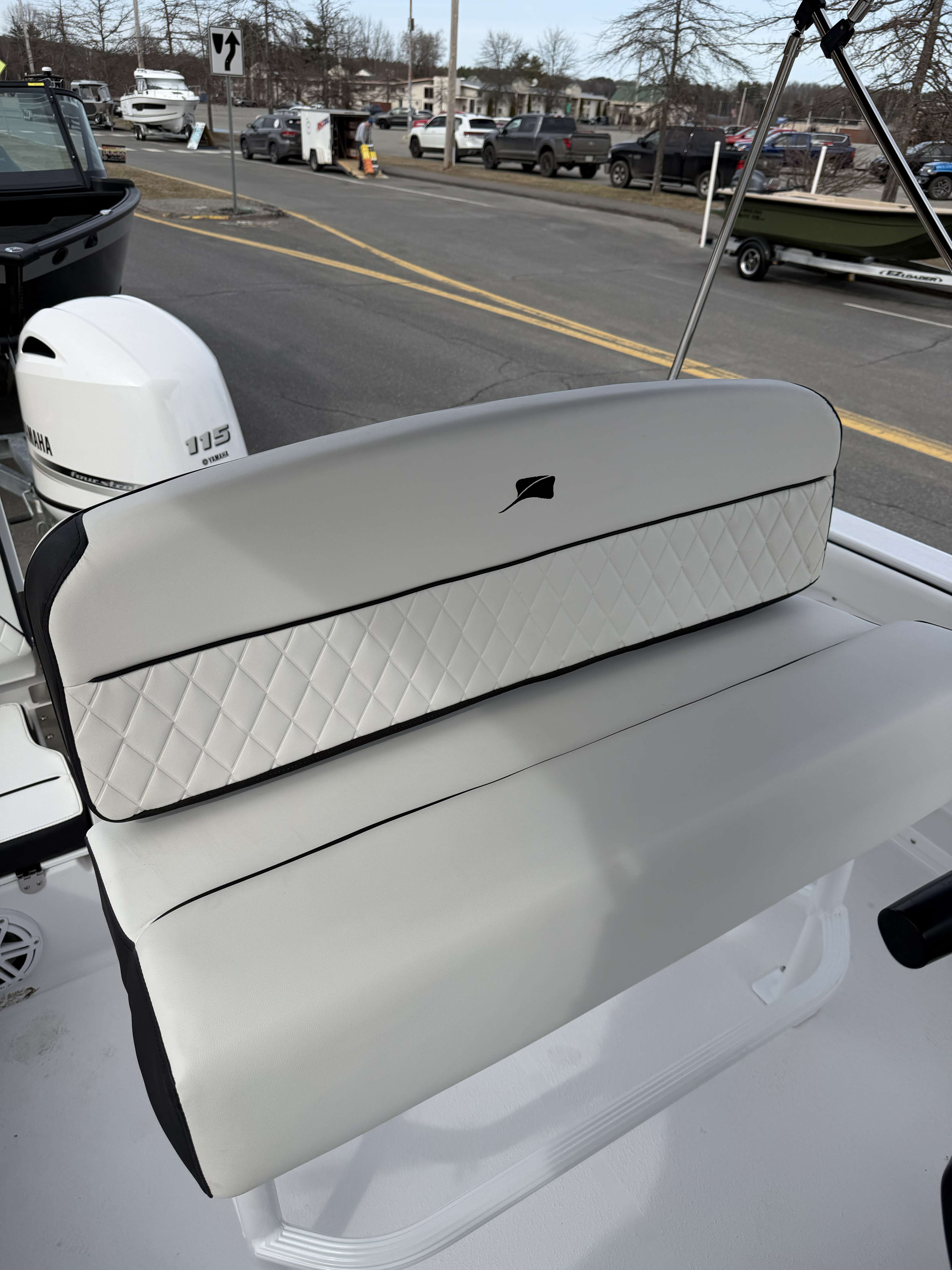 2026 Stingray 173CC photo 10