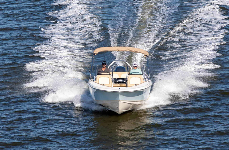 2027 Scout 195 Sport Dorado photo 8