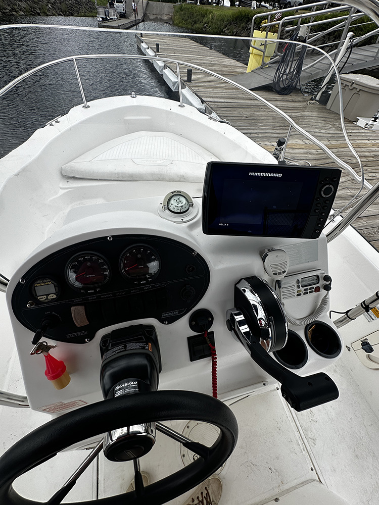 2002 Boston Whaler 180 Dauntless photo 7