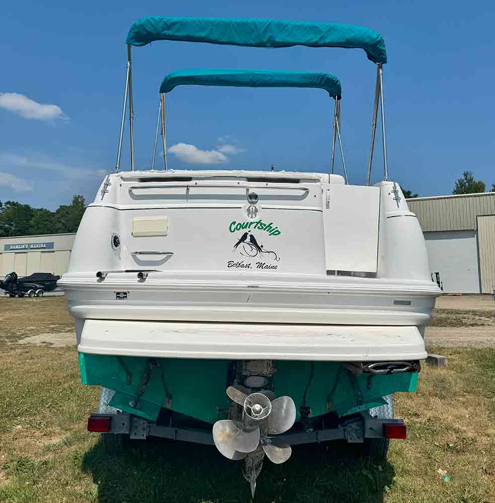 1996 Larson 260 Cabrio photo 2