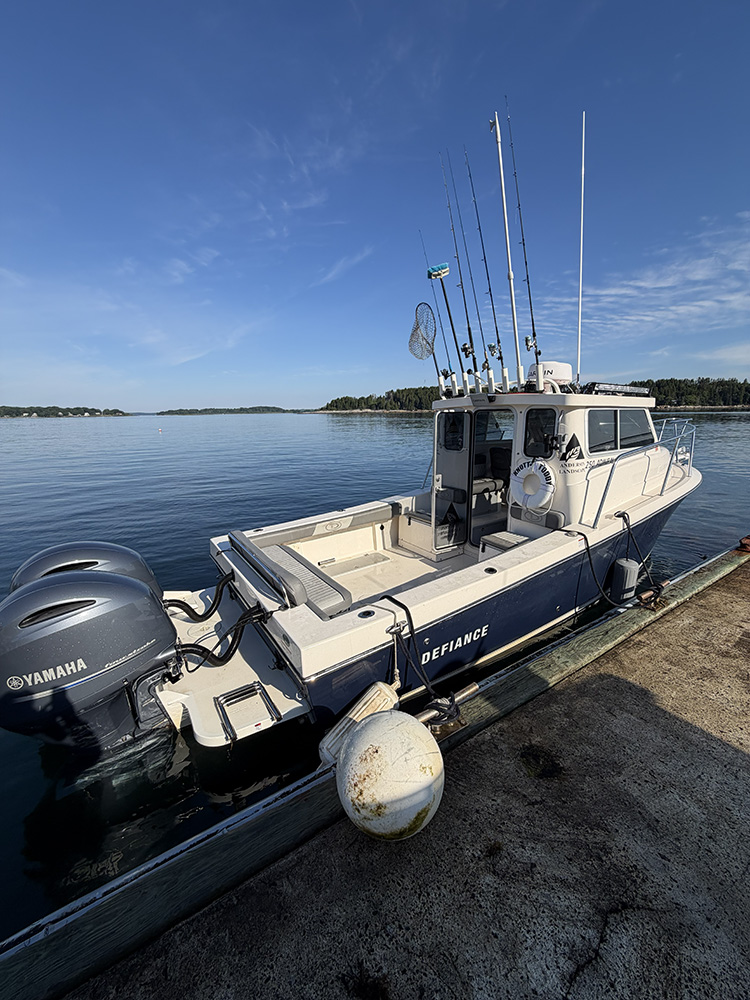 2023 Defiance Admiral 250 Ex photo 2